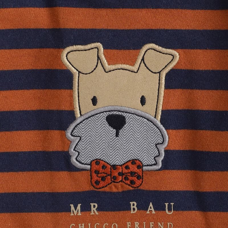 Boys Long Sleeve T-Shirt With Applique image number 2